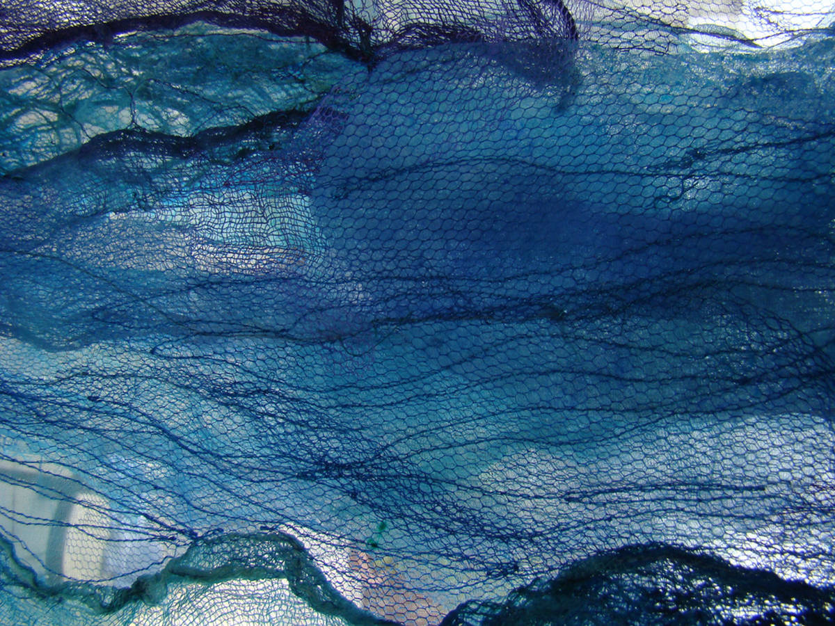 De Tien Woorden – DANSEND